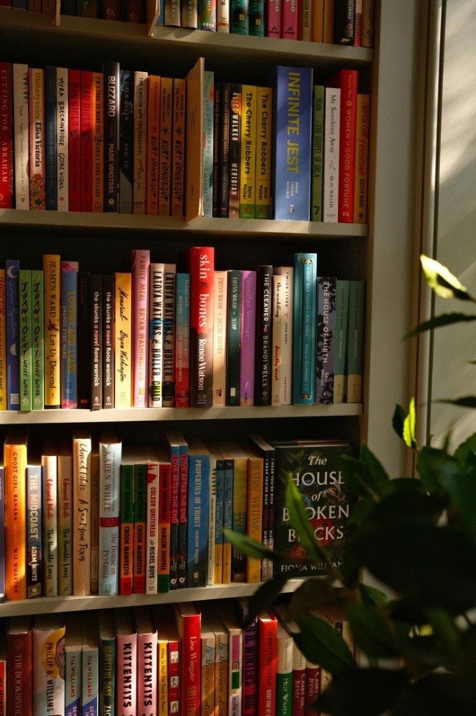 A sunlit bookshelf packed with novels